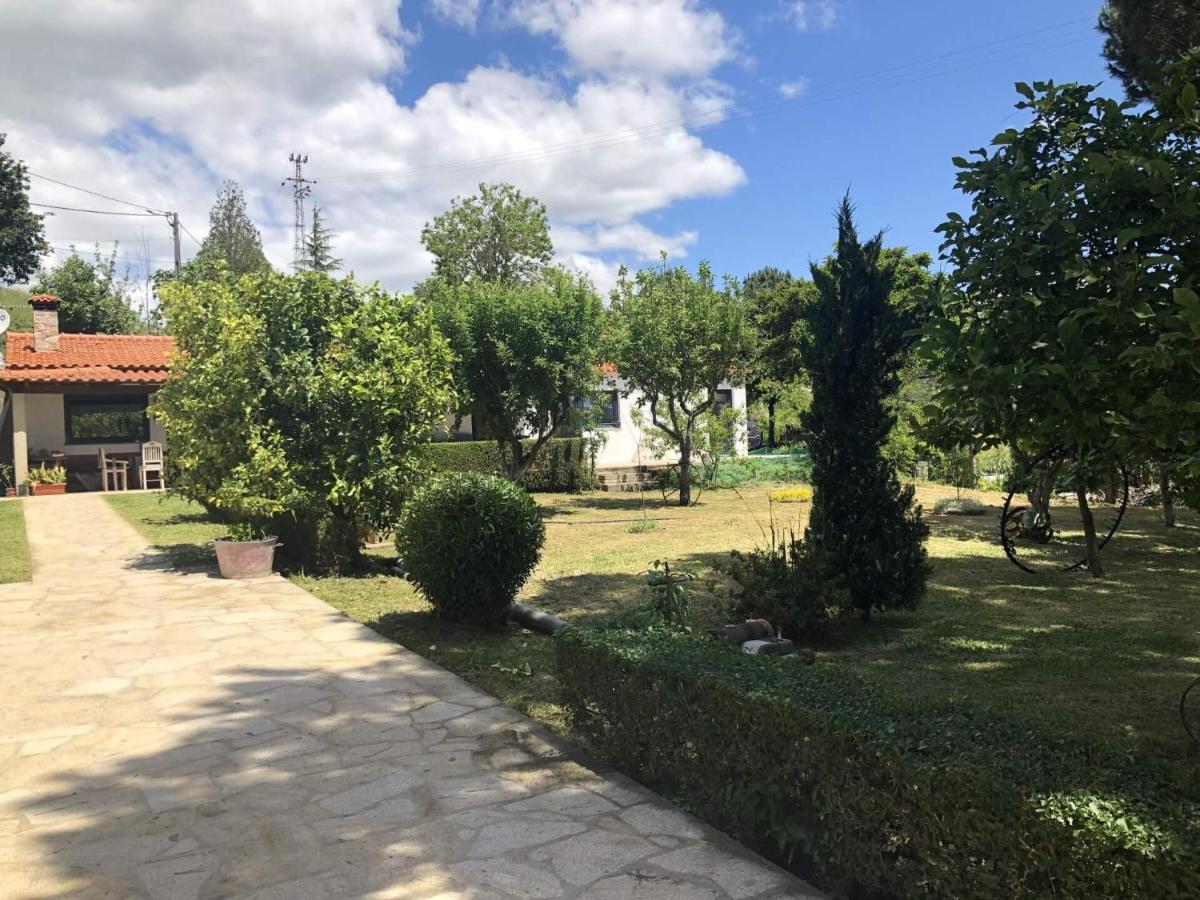 Casas Viriatus - Turismo Rural 帕雷迪什迪科拉 外观 照片